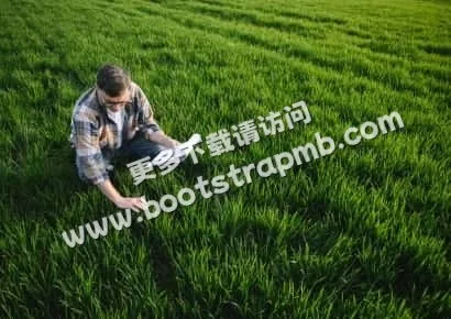 探索体育的无限魅力 - 九球体育直播APP