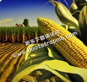 互动社区，球迷交流 - 九球体育直播APP